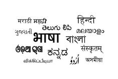 WhatsApp Image 2026-10-29 at 11.52.50 AM (1)